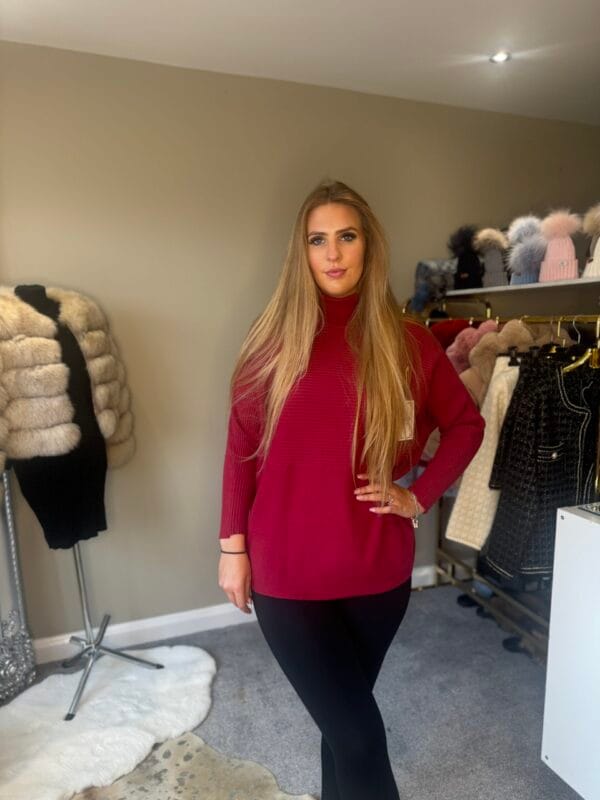 Berry Ribbed Design Knitted Roll Neck Jumper